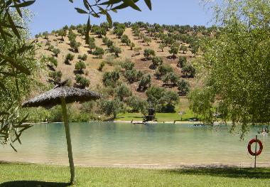 Fresh water beach near Finca Retama Farmstead