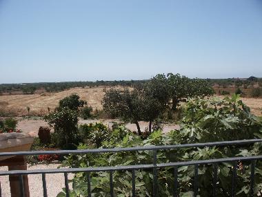 Holiday House in Llombards (Mallorca) or holiday homes and vacation rentals