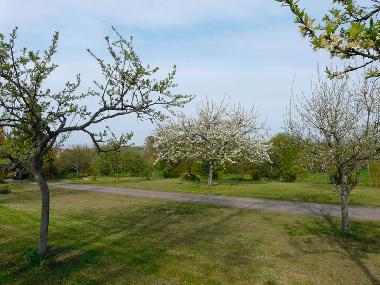 Holiday House in NIEDERHASLACH (Bas-Rhin) or holiday homes and vacation rentals