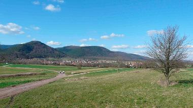 Holiday House in NIEDERHASLACH (Bas-Rhin) or holiday homes and vacation rentals