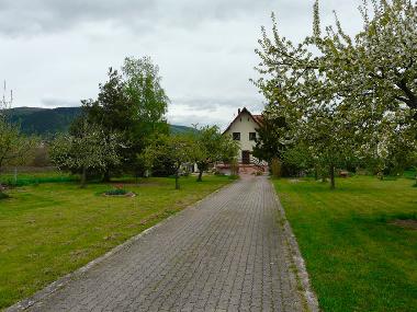 Holiday House in NIEDERHASLACH (Bas-Rhin) or holiday homes and vacation rentals