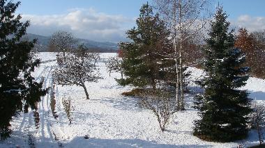 Holiday House in NIEDERHASLACH (Bas-Rhin) or holiday homes and vacation rentals