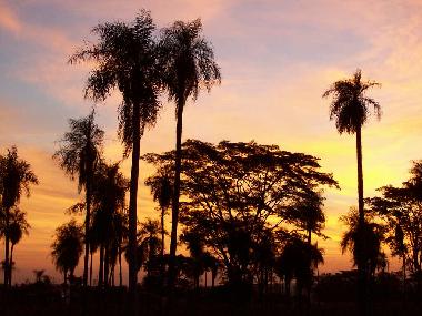 Bed and Breakfast in J.A Sandivar (Asuncion) or holiday homes and vacation rentals