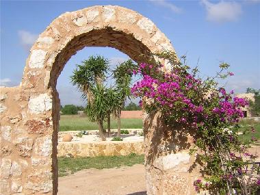 Holiday House in Felanitx (Mallorca) or holiday homes and vacation rentals