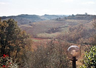PANORAMA FROM AGRITURISMO
