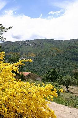 View of Quinta das Canas in its natural setting