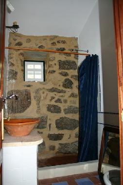 bathroom with shower, toolet and washtub