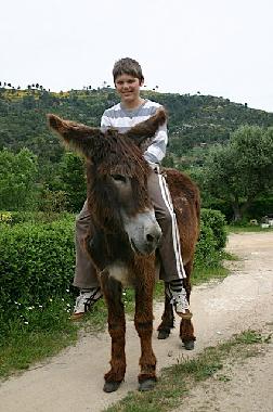 riding our donkey Cecilia, great for kids