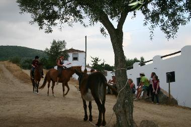 horse riding on Anita & Aster, for experienced and inexperienced guests, young and old