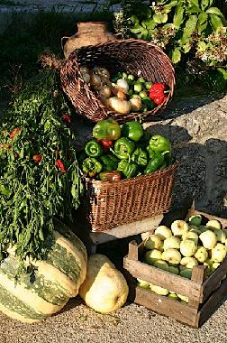fresh organic products from our gardens, for sale at our quinta