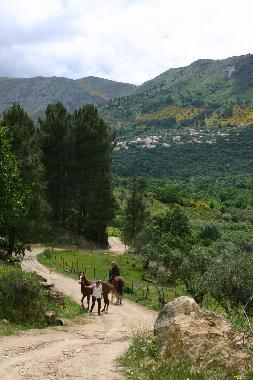 riding on our private dirt road towards the river