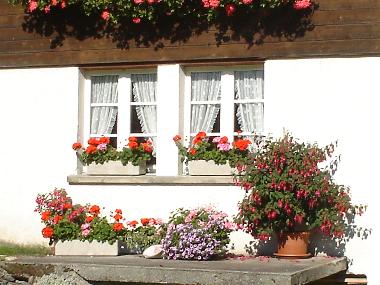 Holiday Apartment in Burglauenen (Grindelwald - Jungfrau) or holiday homes and vacation rentals