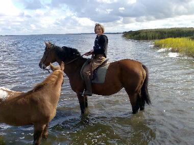 Holiday Apartment in Rambin (Ostsee-Inseln) or holiday homes and vacation rentals