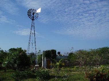 The traditional windmill