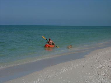 Hotel in Celestun (Yucatan) or holiday homes and vacation rentals