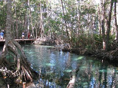 Hotel in Celestun (Yucatan) or holiday homes and vacation rentals