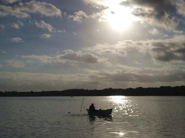 Hotel in Celestun (Yucatan) or holiday homes and vacation rentals