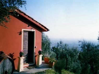 Holiday House in Montecatini Terme (Pistoia) or holiday homes and vacation rentals