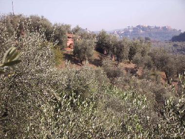 Holiday House in Montecatini Terme (Pistoia) or holiday homes and vacation rentals