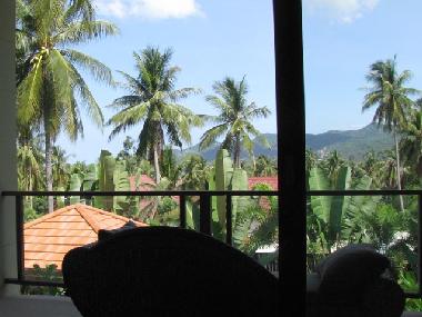 View from the bedroom window