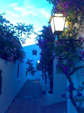 Holiday Apartment in Estepona (Mlaga) or holiday homes and vacation rentals