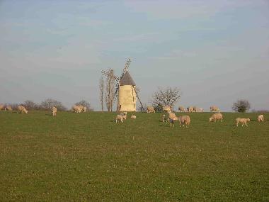 Holiday House in St Cyr Des Gats (Vend�e) or holiday homes and vacation rentals