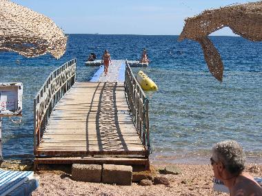 Sharks bay,Sharm el Sheikh
