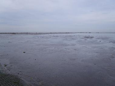 Holiday House in Oostmahorn (Friesland) or holiday homes and vacation rentals