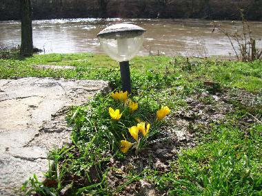 Holiday House in Parvomijci (Veliko Turnovo) or holiday homes and vacation rentals