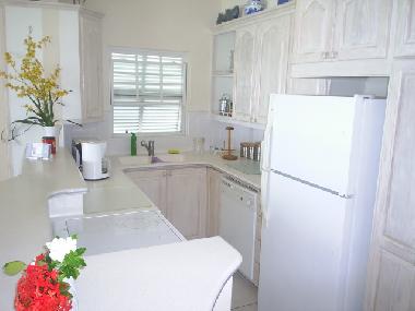 Bed and Breakfast in Christ Church (Christ Church) or holiday homes and vacation rentals