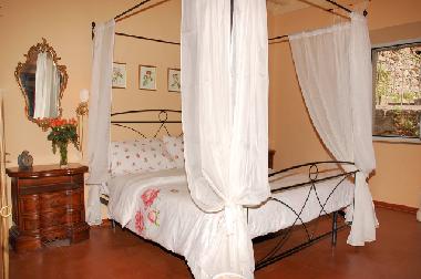 Holiday House in Cortona (Arezzo) or holiday homes and vacation rentals