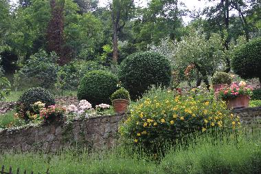 Holiday House in Cortona (Arezzo) or holiday homes and vacation rentals