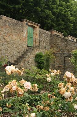 Holiday House in Cortona (Arezzo) or holiday homes and vacation rentals