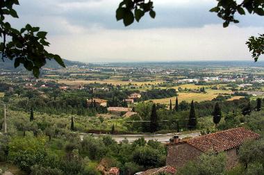 Holiday House in Cortona (Arezzo) or holiday homes and vacation rentals