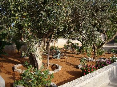 Holiday House in Balestrate (Palermo) or holiday homes and vacation rentals