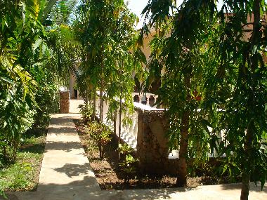 KAMSONs walk ways along the garden