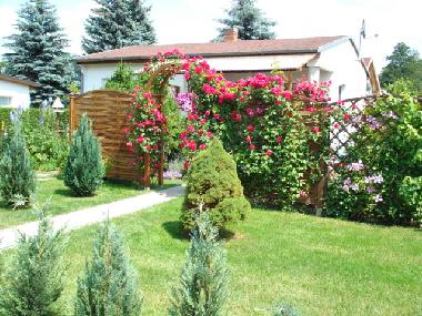 Holiday House in Lbbenau (Oberspreewald-Lausitz) or holiday homes and vacation rentals