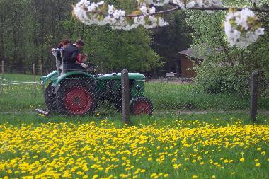 Holiday Apartment in Tann(Rhn) (Rhn) or holiday homes and vacation rentals