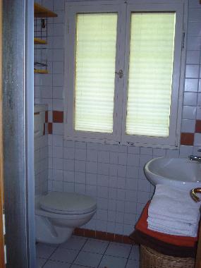 Holiday House in Feldberg-Falkau (Black Forest) or holiday homes and vacation rentals