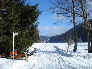 Holiday House in Feldberg-Falkau (Black Forest) or holiday homes and vacation rentals