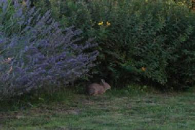 Holiday Apartment in Fucecchio - Torre (Firenze) or holiday homes and vacation rentals