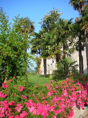 Holiday Apartment in Fucecchio - Torre (Firenze) or holiday homes and vacation rentals