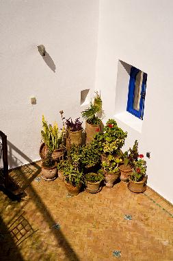 Holiday House in Essaouira (Essaouira) or holiday homes and vacation rentals