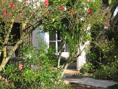 Chalet in conil (C�diz) or holiday homes and vacation rentals