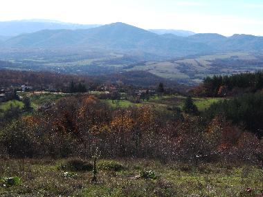 View from hill behind