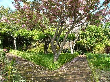Villa in Viana do Castelo (Norte) or holiday homes and vacation rentals