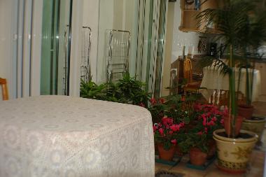 Holiday Apartment in Nerja (M�laga) or holiday homes and vacation rentals
