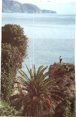 Holiday House in Nerja (M�laga) or holiday homes and vacation rentals