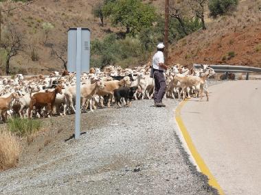 Holiday Apartment in Nerja (Mlaga) or holiday homes and vacation rentals