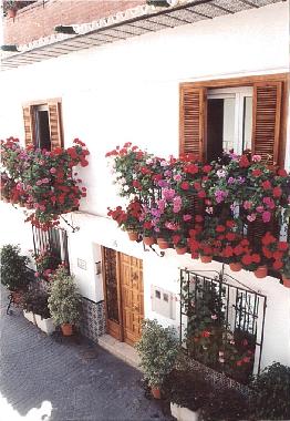 Holiday Apartment in Nerja (Mlaga) or holiday homes and vacation rentals
